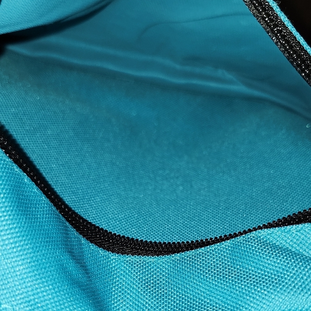 Teal Blue Backpack From FORWARD - Picture 7 of 7